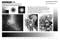 Canon G2411 için Siyah Mürekkep 1000 ml