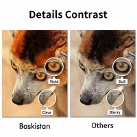 Canon Pixma iP8750 Mürekkep Seti 5 renk (Muadil)