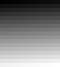 Epson L605 için Siyah Mürekkep